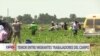 Nueva ley migratoria de Florida atemoriza a trabajadores del campo
