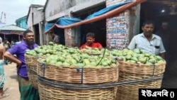 জিআই স্বীকৃতি পেল বগুড়ার দই এবং চাঁপাইনবাবগঞ্জের ল্যাংড়া ও আশ্বিনা আম
