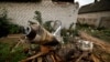 A Russian missile is seen lying in the garden of a house, following an early morning missile strike, as Russia's attacks on Ukraine continue, in Kramatorsk, Donetsk region, Ukraine, Oct. 4, 2022.