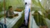 FILE - Pakistani patients suffering from dengue fever, a mosquito-borne disease, are treated in an isolation ward, at a hospital in Lahore, Pakistan, Sept. 23, 2022. 