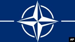 Logo of the North-Atlantic Treaty Organization, or NATO.