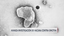Pfizer anuncia posible vacuna contra virus sincitial