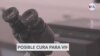 Inquietud en comunidad científica por curación de paciente de VIH sin medicamentos