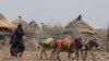 A woman drives donkeys to transport jerrycans of water in drought affected areas in Higlo Kebele, Adadle woreda, Somali region of Ethiopia, in this undated handout photograph. Michael Tewelde/World Food Program/Handout via REUTERS.