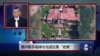 媒体观察：美中联手端掉令完成在美“老窝”？