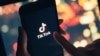 显示TikTok标识的示意图。