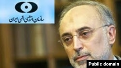 علی اکبر صالحی رئیس سازمان انرژی اتمی ایران