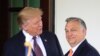 АРХІВНЕ ФОТО. Президент Дональд Трамп зустрічає прем'єр-міністра Угорщини Віктора Орбана у Білому домі. 13 травня 2019 року