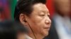 中国国家主席习近平 （资料照片）