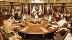 مصر حمايت خود را از شورای همکاری خليج فارس در اختلاف با ايران اعلام کرد