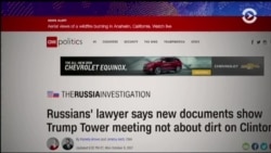 Адвокат Агаларовых о встрече в Трамп-тауэр и «законе Магнитского»