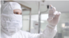 ARCHIVO - Científicos de Costa Rica lograron desarrollar un suero equino que inhibe la capacidad infecciosa del SARS-CoV-2.