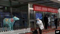 한 외신 기자가 중국 수도 베이징의 한 낙농 공장에 들어가기 전에 마스크를 쓰고 있다.