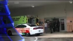 El Mundo al Día