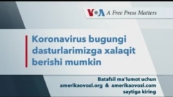 Live Talk - Diaspora Forum