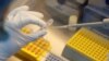 Muchos países del mundo compiten por desarrollar una vacuna segura y efectiva contra el coronavirus. Estados Unidos y Europa buscan comprar por adelantado la producción de una vacuna para sus poblaciones.
