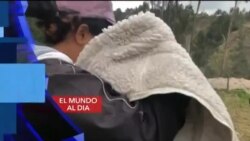 El Mundo al Día