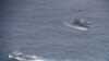 Buques de la Armada ecuatoriana rodean un barco pesquero luego de detectar una flota pesquera de barcos en su mayoría con bandera china en un corredor internacional que limita con la zona económica exclusiva de las Islas Galápagos, en el Océano Pacífico.