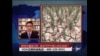 时事大家谈:耕地中重度污染，谁来守护中国人的生命线？