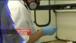 El Mundo al Día