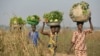 Thousands Receive Agricultural Assistance in CAR