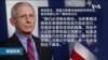 白宫要义: 弗契医生: 英国变异新冠病毒恐已进入美国